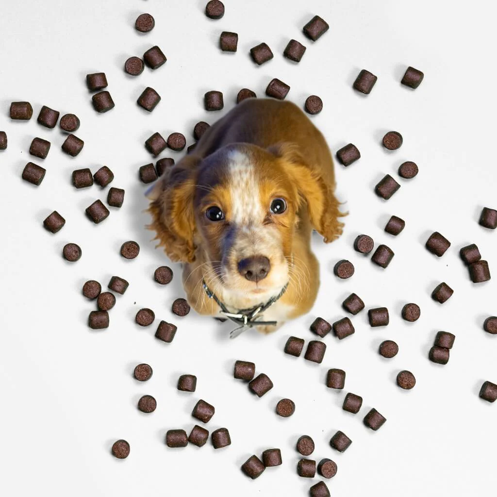 Flea & Tick Treats - Image 5