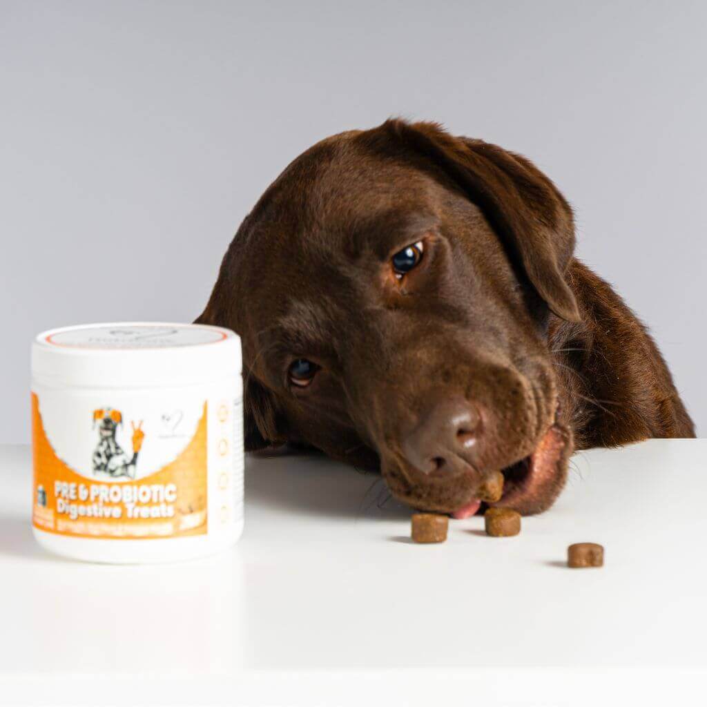 Immunity Defence & Itch Kit - Image 7