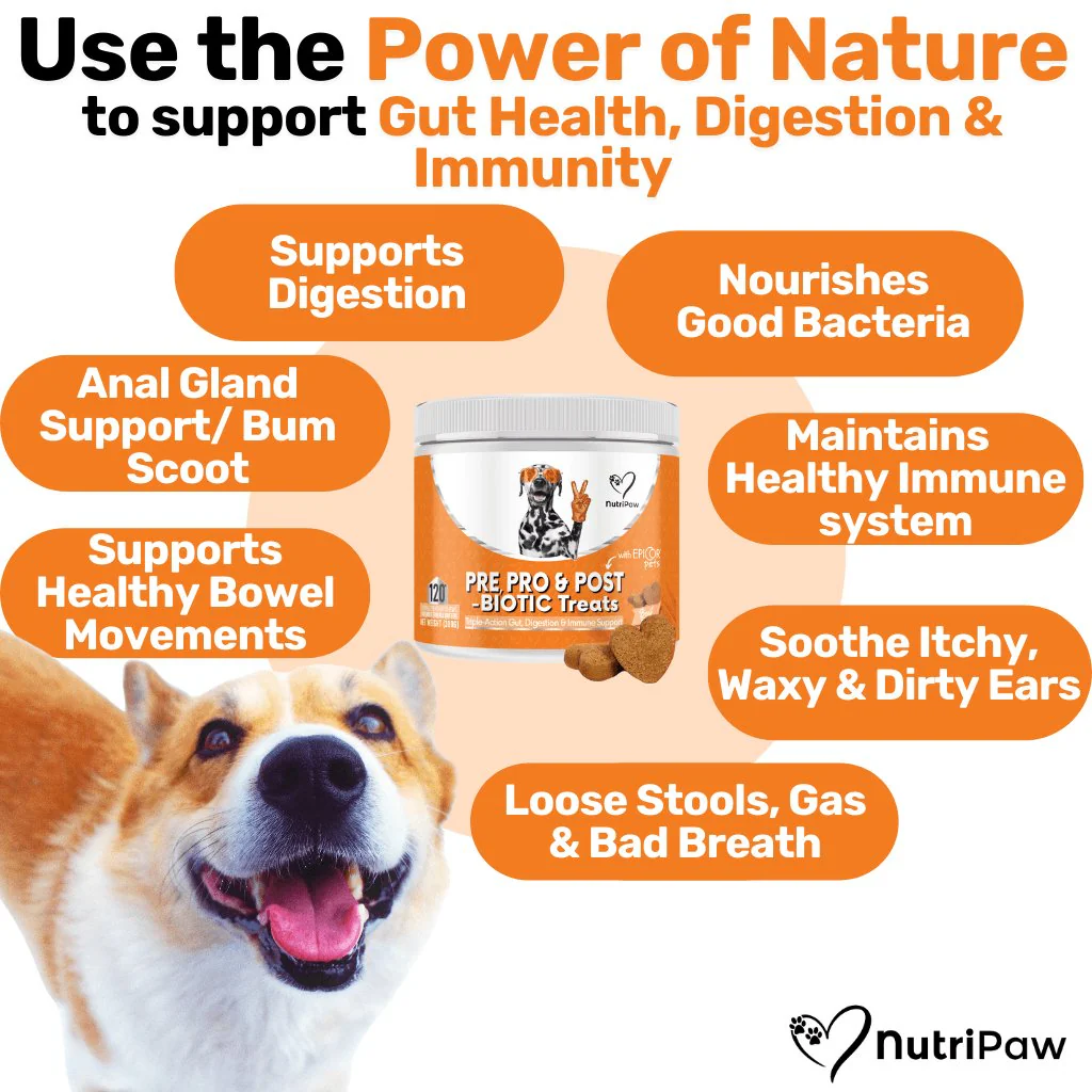 NutriPaw's #1 Kit - Image 5
