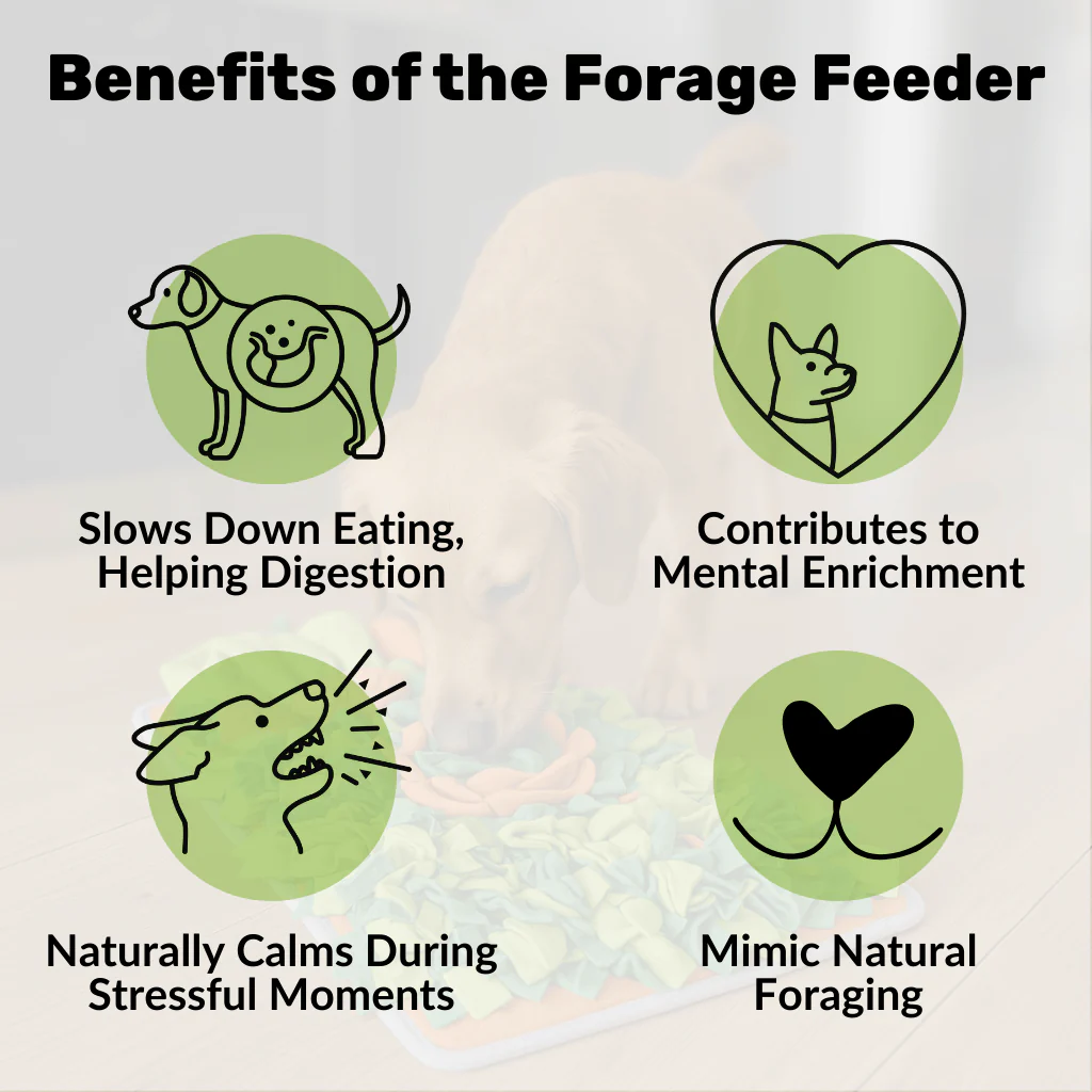 Forage Feeder - Image 3