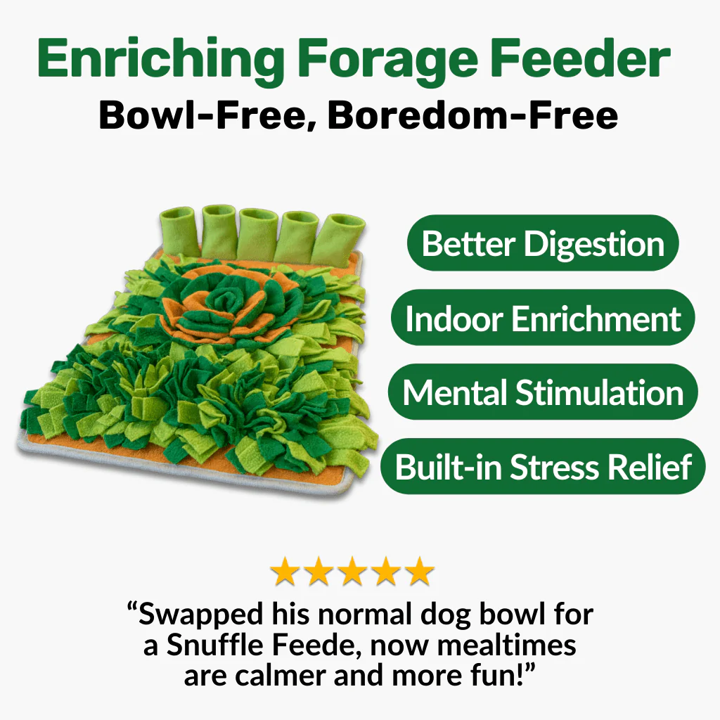 Forage Feeder - Image 7